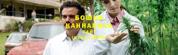 прущие грибы Баксан