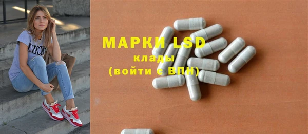 прущие грибы Баксан