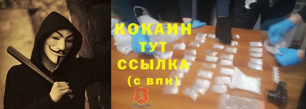 прущие грибы Баксан