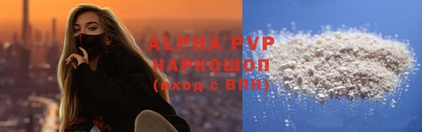 прущие грибы Баксан