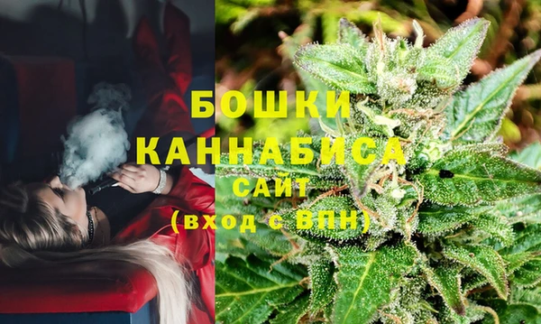 прущие грибы Баксан