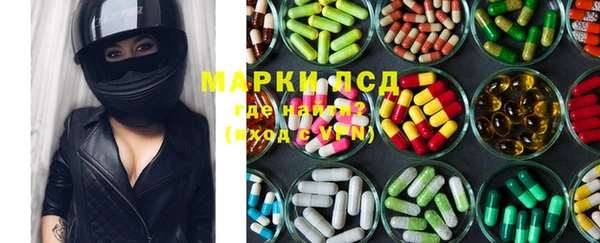 прущие грибы Баксан