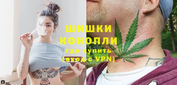 прущие грибы Баксан
