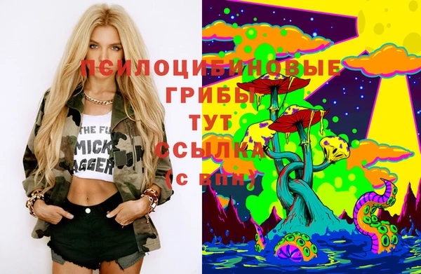 прущие грибы Баксан