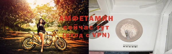 прущие грибы Баксан